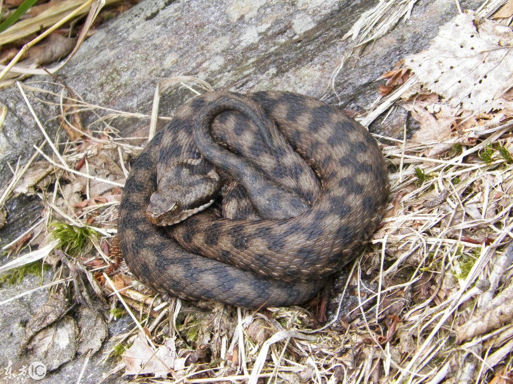 探索吉林之美，初学者深度游指南