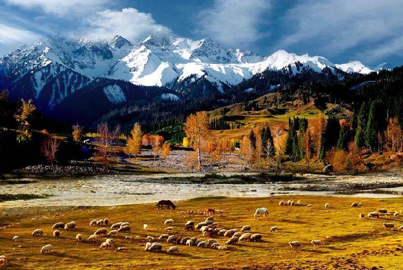 新疆播音稿，探寻美丽新疆大地之谜